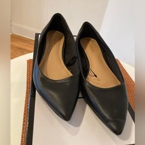 Express Pointed Toe Flats